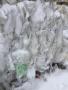 Пленка стрейч,пвд,картон Пленка стрейч,пвд,картон